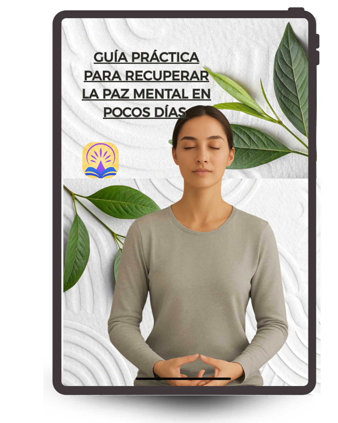 Ebook